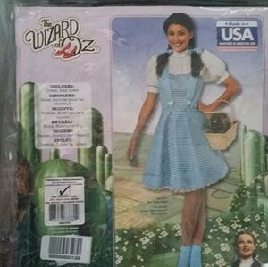 The Dorthy costume from the wizard of